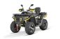 Preview: NITRO MOTORS 300cc maxi Kinder Quad Tricia 80km/h EEC Platin
